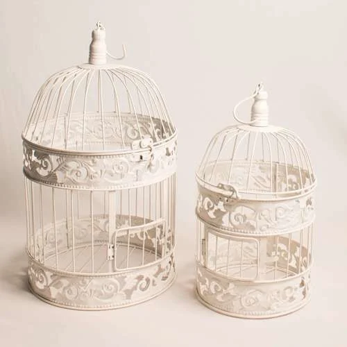 (CYB) Bird Nest  - M