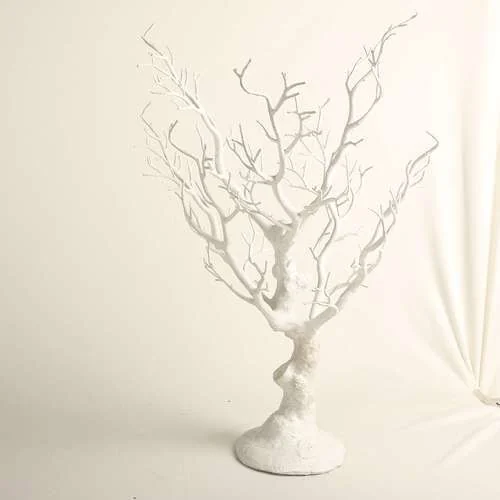 (CYB) Pokok Ranting White Small
