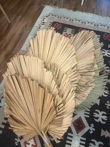 Daun Pelepah - Small