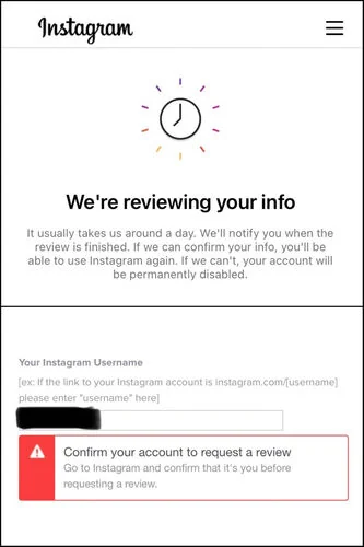 Instagram Review
