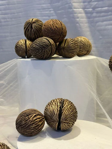 (SM) Dried fruit deco