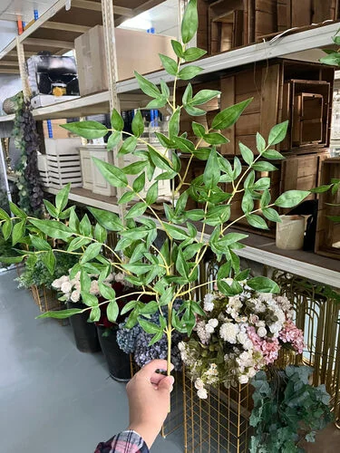 (SM) Flora - Stone Bamboo