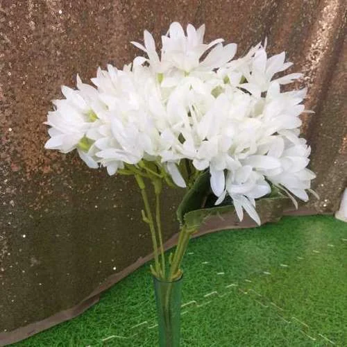 (SM) Flower Daisy - White