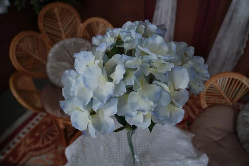(SM) Hydrangea  - Blue