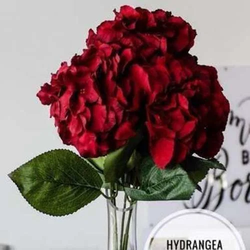 (SM) Hydrangea Red