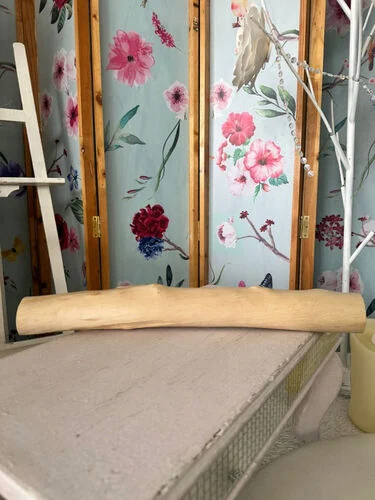 (SM) Kayu pokok pine putih 51.5cm