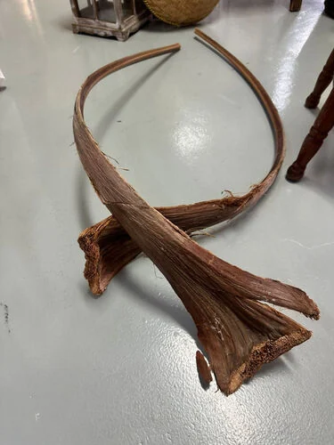 (SM) Pelepah Kelapa