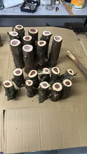 (SM) Pine Wood Tree (13.5cm Height)