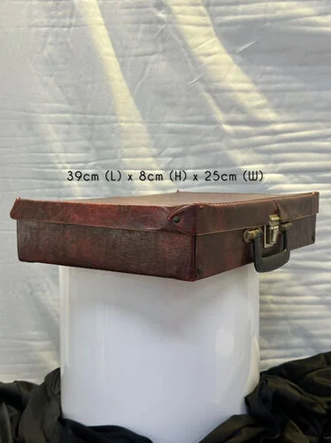 (SM) Vintage briefcase