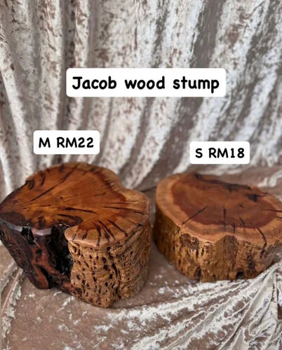 ™ Jacob Wood Stump - M- 22cm x 20cm x 15cm