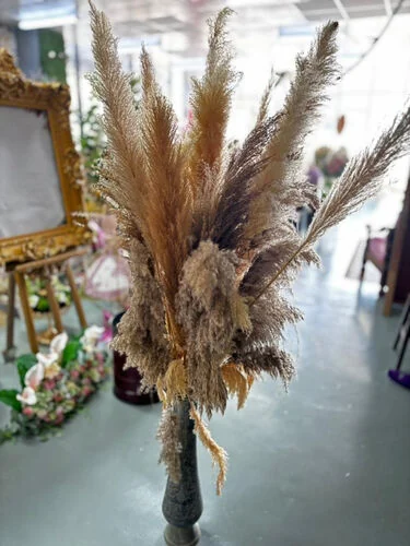 ™ Pampas Big ( 63 inch )