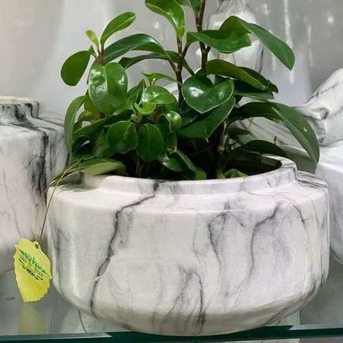 ™ Pasu Marble