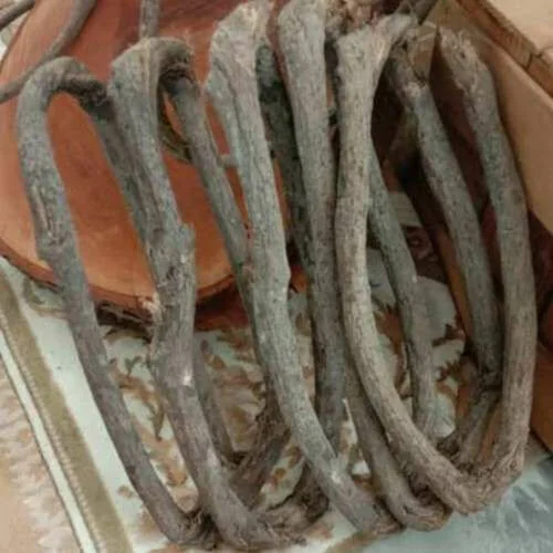 ™ Root Wood