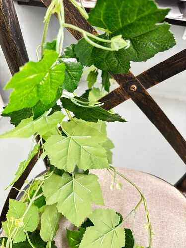 ™ Vine Leaf (Daun Anggur)